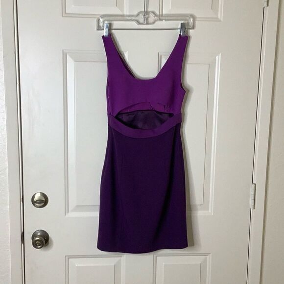 Armani Exchange Purple and a plum Fitted Empire Waist Dress - Picture 4 of 10